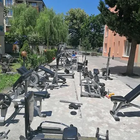 Dadi Oazis ラヴダ